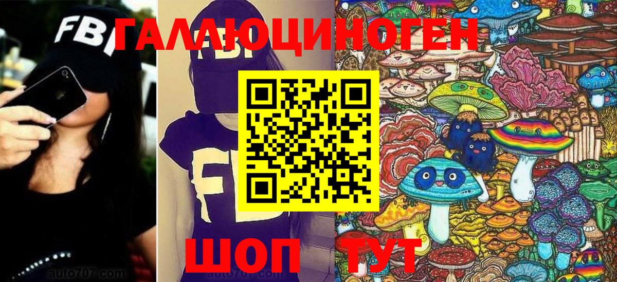 Псилоцибиновые грибы Psilocybe Майкоп