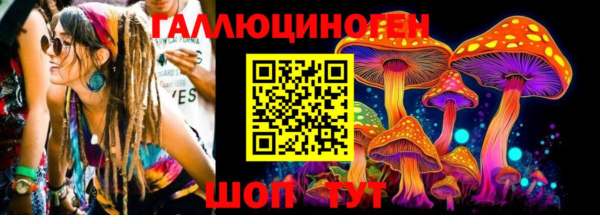 Галлюциногенные грибы мицелий  Вход с VPN  Майкоп 
